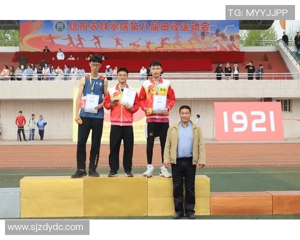 南京排球队速度之美大满贯点评展现竞技魅力与团队协作 南京排球队速度之美大满贯点评展现竞技魅力与团队协作