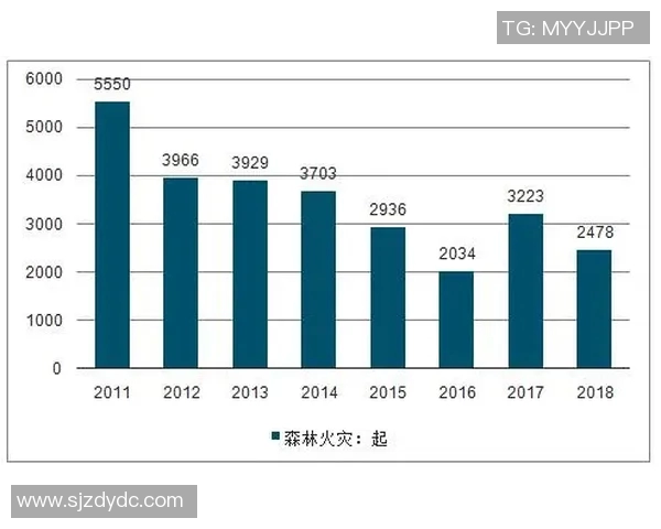广州篮球队运营全景解析：从管理到市场的深度剖析与发展策略