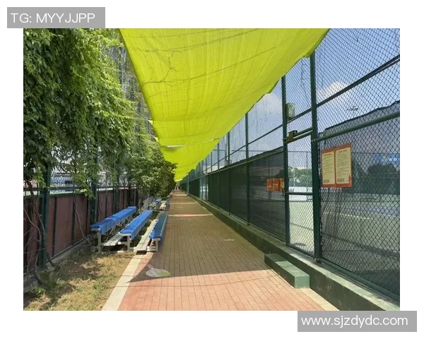 西安网球队荣登全国网球节奏排行榜第七位引发热议