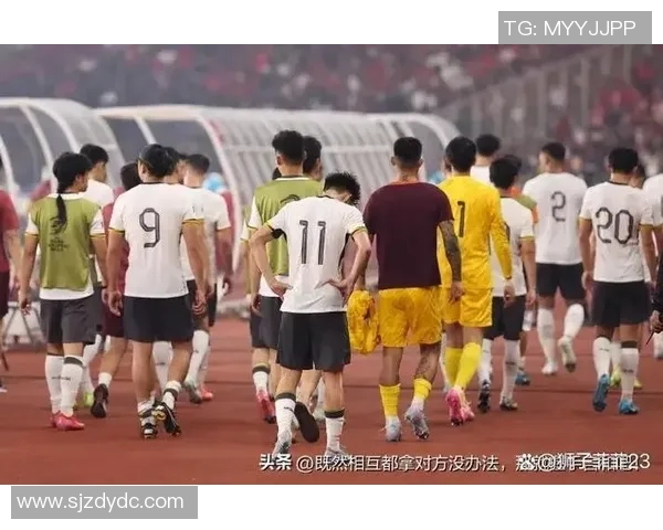 足球明星热度变化分析与趋势探讨揭示运动员影响力的演变之路