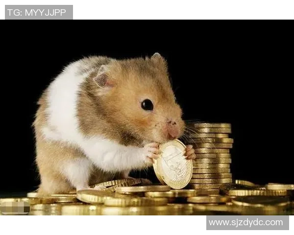 足球明星生肖鼠的身份揭秘与成就回顾