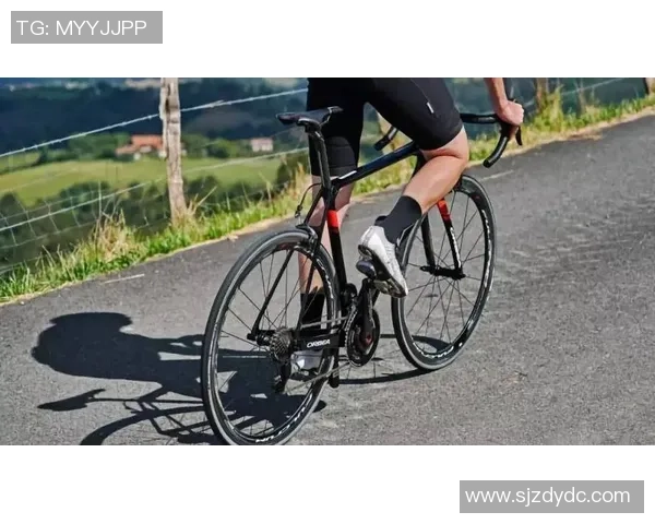 重庆足球队耐力分析揭示球队在比赛中的持久力与表现差异 重庆足球队耐力分析揭示球队在比赛中的持久力与表现差异