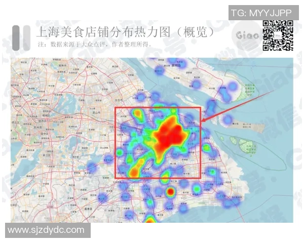 独家分析：上海排球队的技术对比