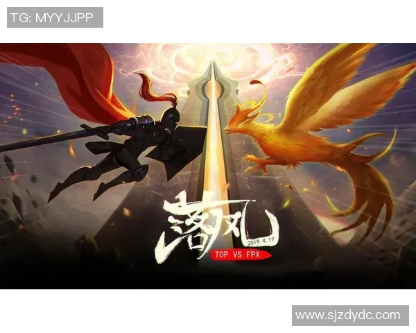 独家分析：FPX的灵活性对比