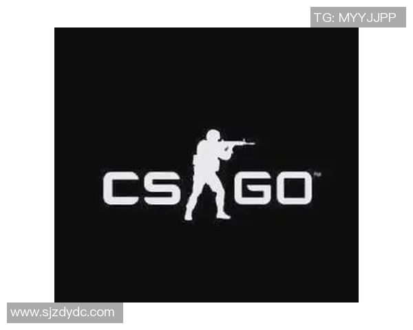 CS_GO专题：聚焦WE的战术