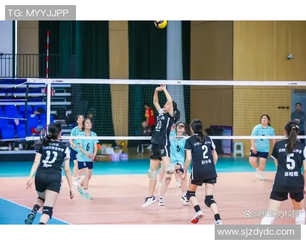 排球纪实：记录南京排球队的逆袭之旅