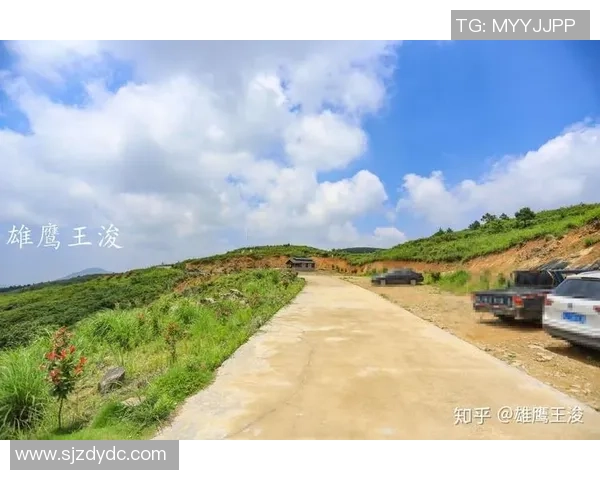 极限运动评论:杭州极限运动队的阵地战得失 极限运动评论:杭州极限运动队的阵地战得失