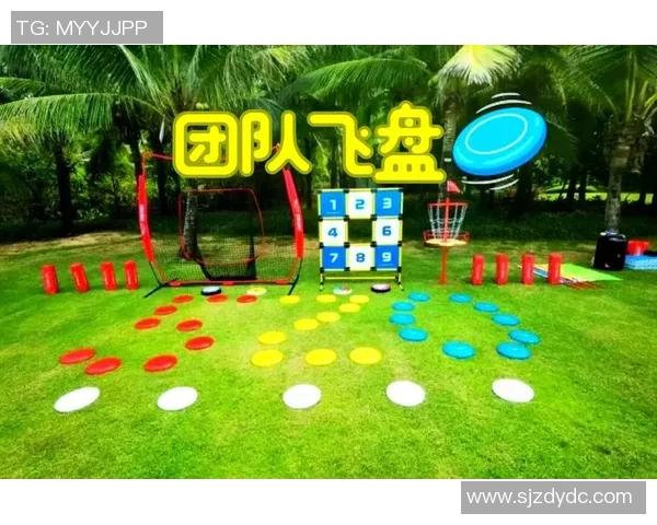 飞盘战术:成都飞盘队的节奏体系 飞盘战术:成都飞盘队的节奏体系