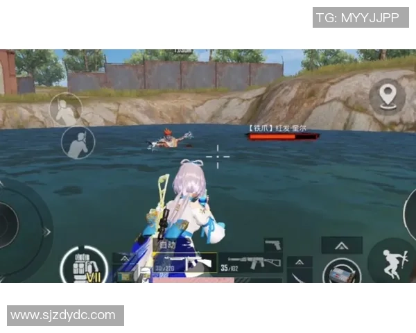 和平精英专题：聚焦LNG的技术