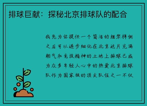 排球巨献：探秘北京排球队的配合