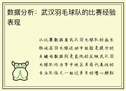 数据分析：武汉羽毛球队的比赛经验表现