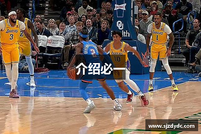 介绍必一
